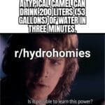 Water Memes Water, Camels text: A TiYRlCAL CAMEL CAN LIITERS (53 GALIL[ONS) ONWATER IN THREE MINUTES. r/hydrobomies Is it possible to learn this power?  Water, Camels