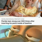 other memes Dank, Florida, Florida Man, European, Visit, Negative text: WORLDNEWSDAILYREPORT.COM Florida teen stung over 600 times after inserting his penis inside of beehive We all make mistakes in the heat of passion, Jimbo. 