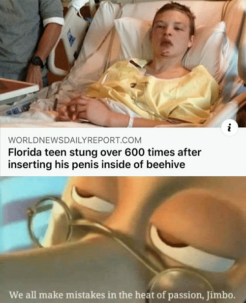 Dank, Florida, Florida Man, European, Visit, Negative other memes Dank, Florida, Florida Man, European, Visit, Negative text: WORLDNEWSDAILYREPORT.COM Florida teen stung over 600 times after inserting his penis inside of beehive We all make mistakes in the heat of passion, Jimbo. 