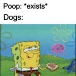 Spongebob Memes Spongebob,  text: Poop: *exists* Dogs:  Spongebob, 