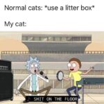other memes Dank, OUGHHH text: Normal cats: *use a litter box* My cat: SHIT ON THE FLOOR.  Dank, OUGHHH