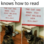 other memes Funny,  text: When your cat knows how to read HAS BEEN FED DONT BELIEVE HER BULL SHIT ZZTHEZCAEHAS— B ULLSHIT=  Funny, 