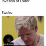 Star Wars Memes Ot-memes, Ewoks, Miss Towani, Endor, Rebellion, Jedi text: Imperials: Start the Invasion of Endor Ewoks: delicious Finally. some good fucking food 