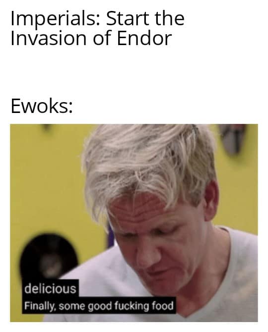 Ot-memes, Ewoks, Miss Towani, Endor, Rebellion, Jedi Star Wars Memes Ot-memes, Ewoks, Miss Towani, Endor, Rebellion, Jedi text: Imperials: Start the Invasion of Endor Ewoks: delicious Finally. some good fucking food 