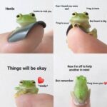 Wholesome Memes Wholesome memes, Frog text: Cuz I heard you were Henlo I came to Visit you Frog is smol Frog is here But heart is big Things will be okay *smile* Now I