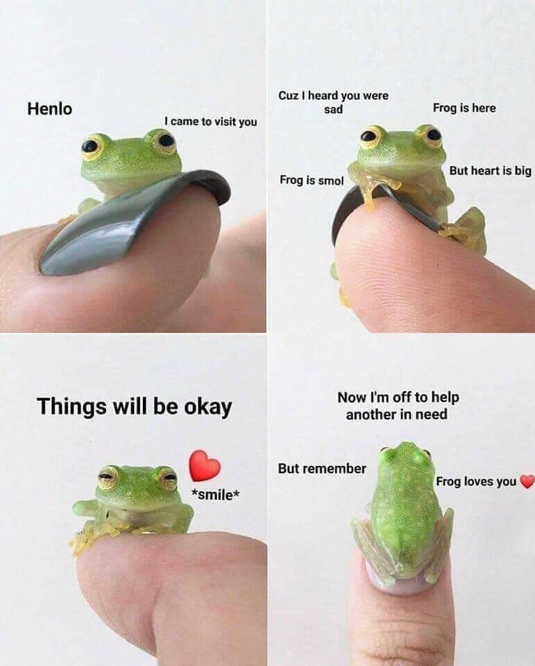 Wholesome memes, Frog Wholesome Memes Wholesome memes, Frog text: Cuz I heard you were Henlo I came to Visit you Frog is smol Frog is here But heart is big Things will be okay *smile* Now I'm off to help another in need But remember Frog loves you 