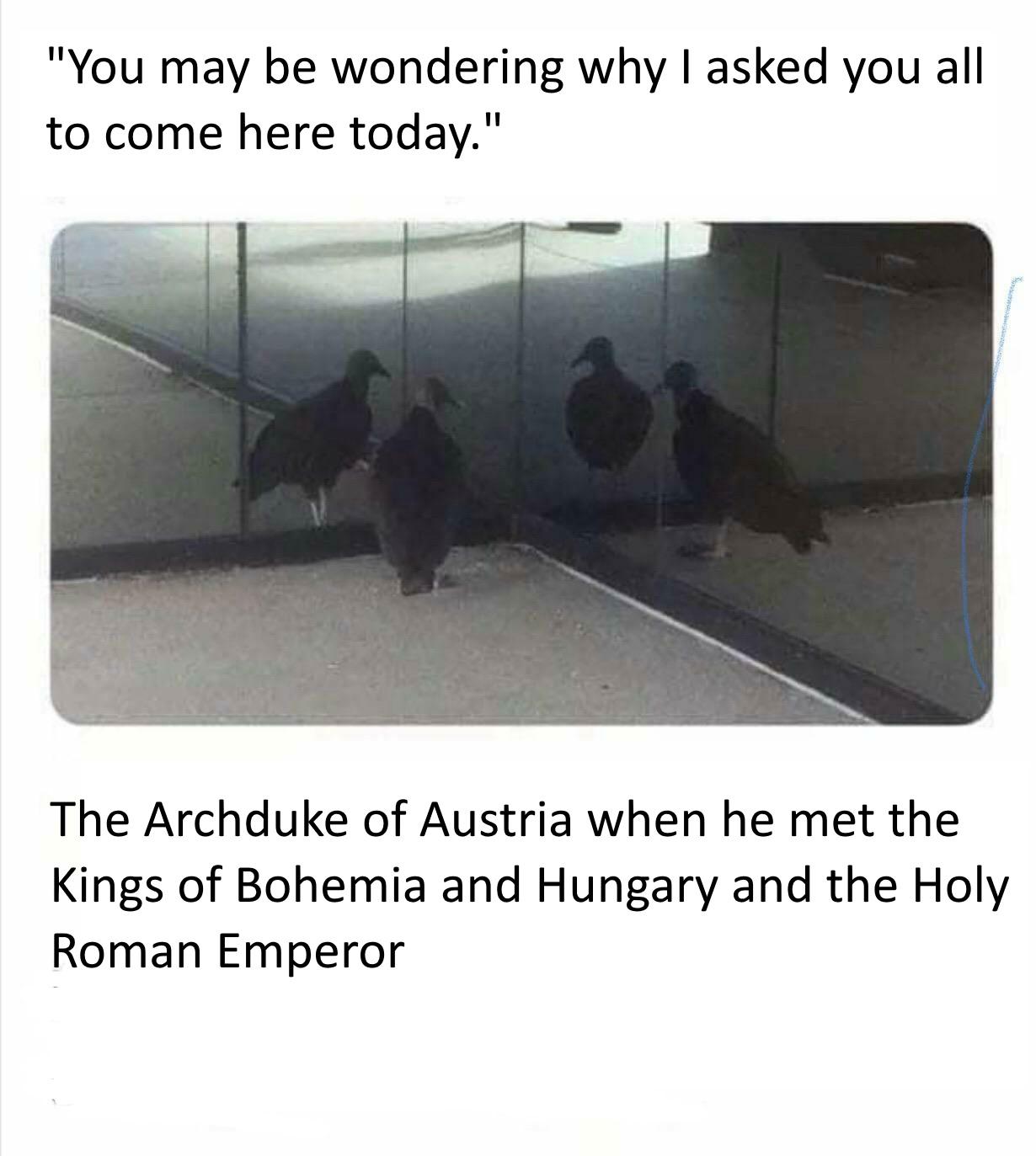 History, King, Holy Roman Empire, Tolerance, Roman, Patent History Memes History, King, Holy Roman Empire, Tolerance, Roman, Patent text: 