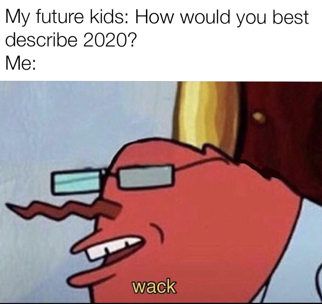Spongebob, Pls Fast Forward Spongebob Memes Spongebob, Pls Fast Forward text: My future kids: How would you best describe 2020? wack 