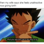 Wholesome Memes Wholesome memes, Shell text: When my wife says she feels unattractive since giving birth - What your eyes don