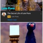 other memes Dank, YouTube, OCD, Latina, John Cena, Friends text: ouu e n Inas The SecretL e f Lele Pons The Secret Life of Lele Pons Lele Pons Watch now Grover shows a picture of who the fuck asked 