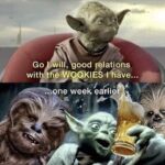 Star Wars Memes Prequel-memes, Yoda, Chewbacca, Wookie, Ketamine, Kashyyyk text: witmÜP51E%åve... ...one week earlier.  Prequel-memes, Yoda, Chewbacca, Wookie, Ketamine, Kashyyyk