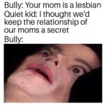 other memes Dank, Destroyed text: Bully: Your mom is a lesbian Quiet kid: I thought weld keep the relationship of our moms a secret Bully: 