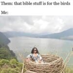 Christian Memes Christian,  text: Them: that bible stuff is for the birds Me:  Christian, 