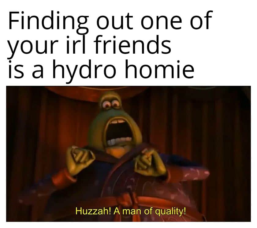 Water,  Water Memes Water,  text: Finding out one of your irl friends is a hydro homie Huzzah! A man of quality! 