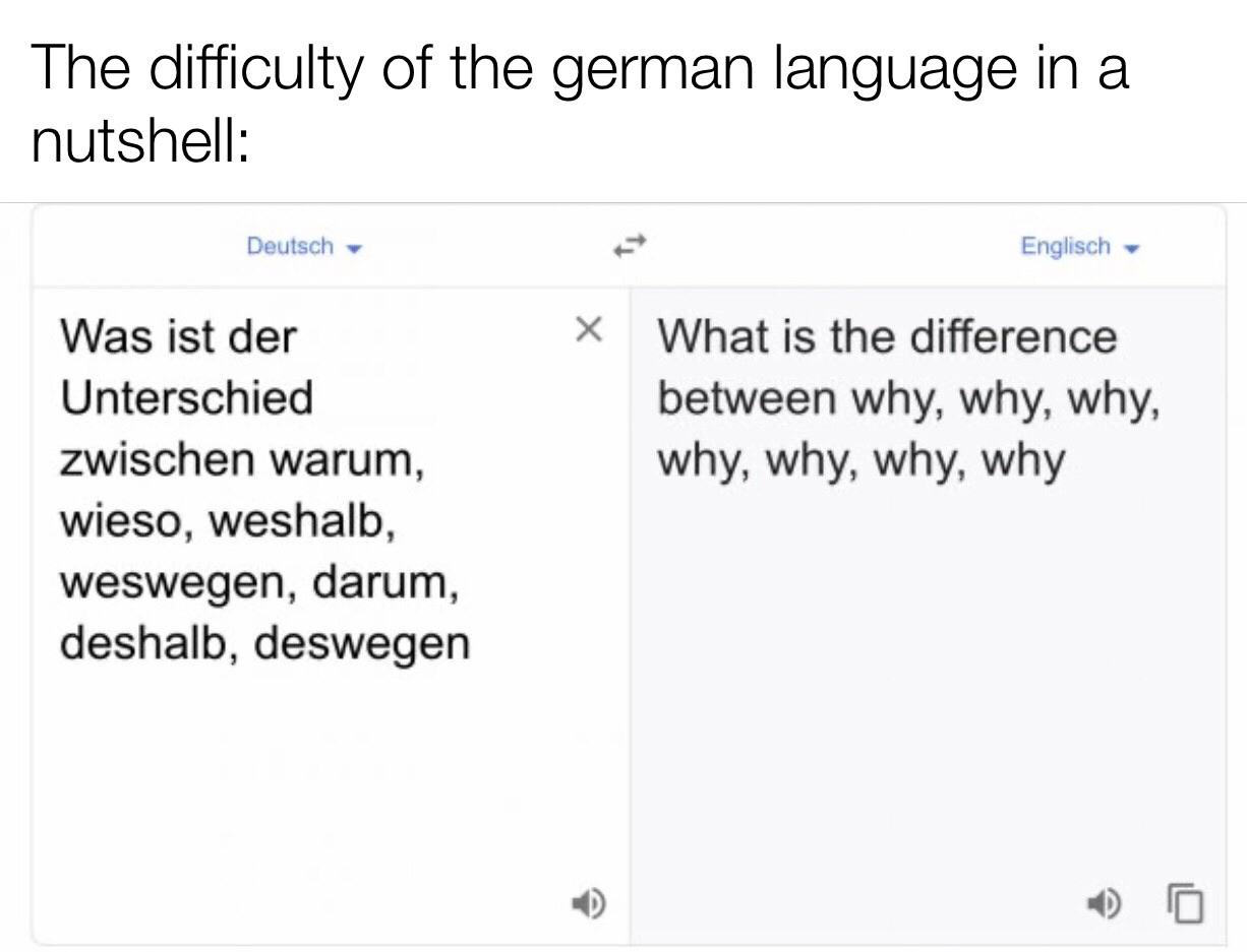 Funny, German, English, Dutch, Germany, Por other memes Funny, German, English, Dutch, Germany, Por text: The difficulty of the german language in a nutshell: Deutsch Was ist der Unterschied zwischen warum, wieso, weshalb, weswegen, darum, deshalb, deswegen x Englisch What is the difference between why, why, why, why, why, why, why 