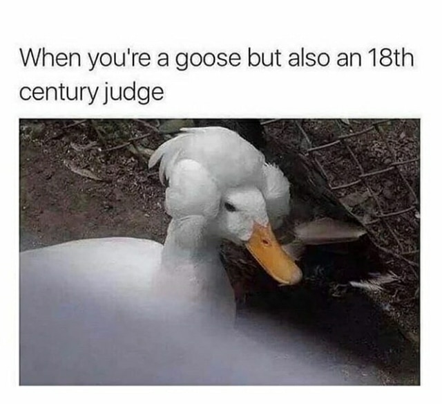 Funny, Goose, Roomba, Washington, Order, Quaker other memes Funny, Goose, Roomba, Washington, Order, Quaker text: When you're a goose but also an 18th century judge 