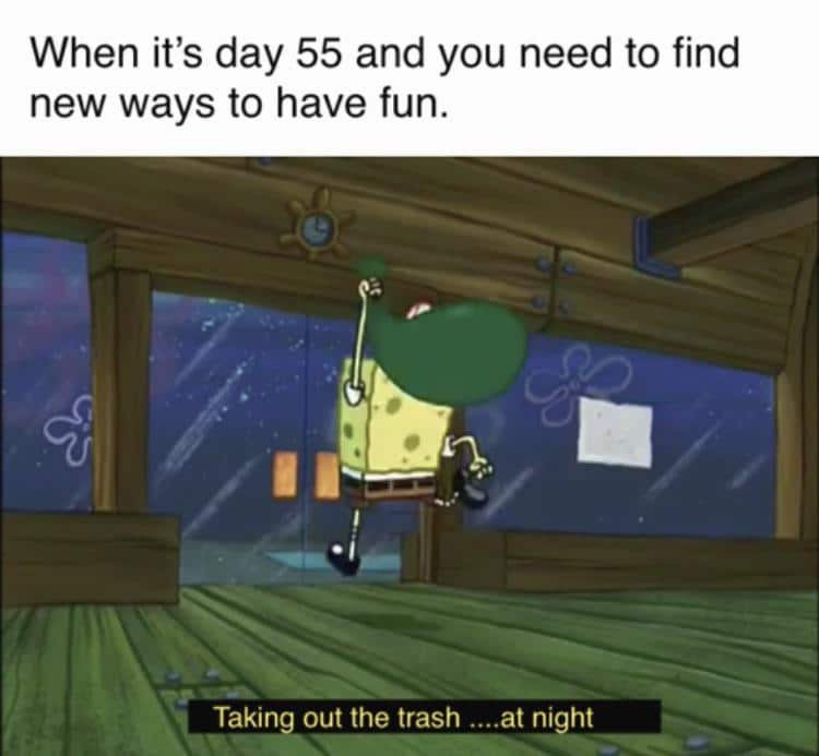 Spongebob, Followed Spongebob Memes Spongebob, Followed text: When it's day 55 and you need to find new ways to have fun. Takin out the trash ....at night 