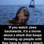 other memes Funny, Reversed, Jews, GfkGy9, Fun text: If you watch Jaws backwards, it