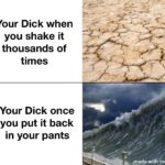 other memes Funny, Pull text: Your Dick when you shake it thousands of times Your Dick once you put it back in your pants k