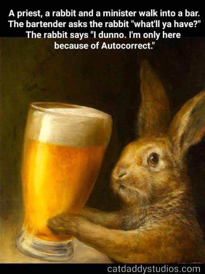 Political, Darn boomer memes Political, Darn text: A priest, a rabbit and a minister walk into a bar. The bartender asks the rabbit 