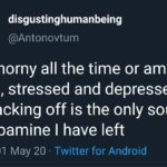 depression memes Depression, Tkax8ZC7, Master, Fingersbot text: disgustinghumanbeing @Antonovtum Am I horny all the time or am I just bored, stressed and depressed and jacking off is the only source of dopamine I have left 11 • 01 May 20 • Twitter for Android  Depression, Tkax8ZC7, Master, Fingersbot