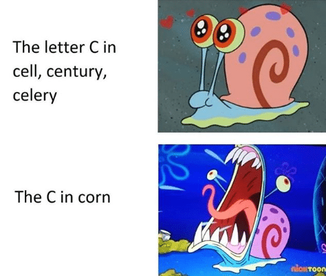 Spongebob, Coccyx Spongebob Memes Spongebob, Coccyx text: The letter C in cell, century, celery The C in corn 
