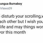 Wholesome Memes Black, Nungua text: Nungua Burnaboy @Views09 Sorry to disturb your scrolling,we don