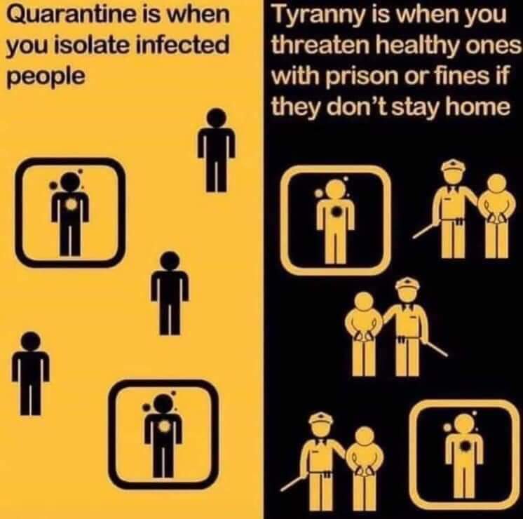 Political,  boomer memes Political,  text: Quarantine is when you isolate infected people Tyranny is when you threaten healthy ones with prison or fines if they don't stay home 