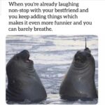 Wholesome Memes Cute, wholesome memes, Dunno text: When you