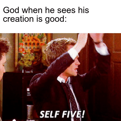 Christian,  Christian Memes Christian,  text: God when he sees his creation is good: SELF FIV! 