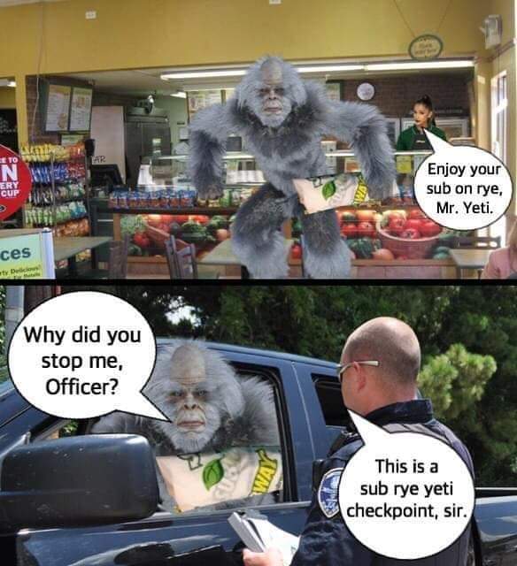 Cringe, Pulled cringe memes Cringe, Pulled text: ces Why did you stop me, Officer? Enjoy your sub on rye, Mr. Yeti. This is a sub rye yeti checkpoint, sir. 