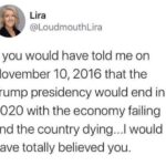 Political Memes Political, Trump, Nixon, Michigan, Joe, Democrats text: Lira @LoudmouthLira If you would have told me on November 10, 2016 that the Trump presidency would end in 2020 with the economy failing and the country dying...l would have totally believed you.  Political, Trump, Nixon, Michigan, Joe, Democrats
