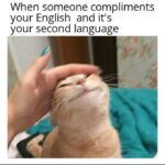 Wholesome Memes Wholesome memes, English, Chinese, Brazilian, UK, Portuguese text: When someone compliments your English and it