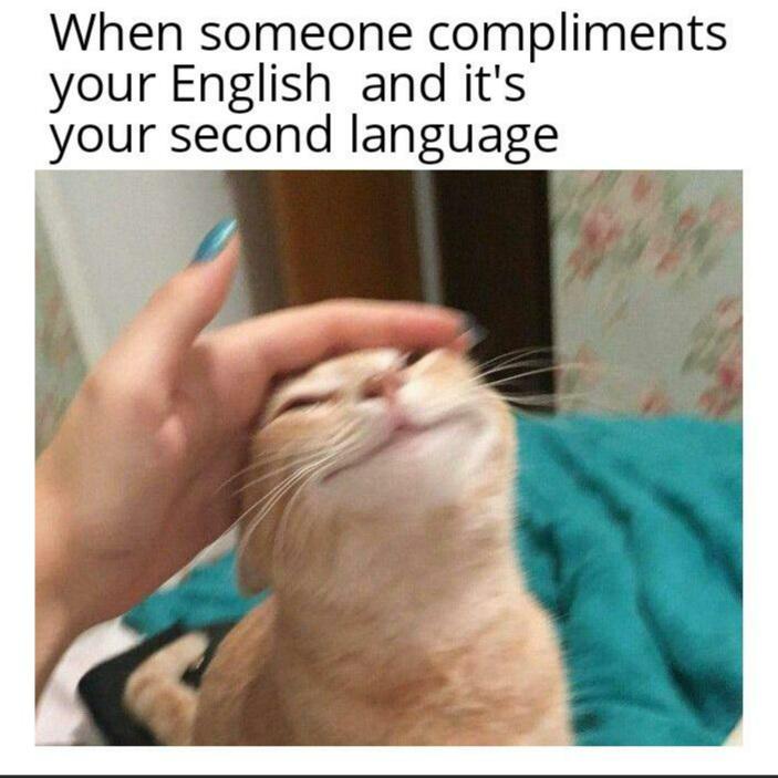 Wholesome memes, English, Chinese, Brazilian, UK, Portuguese Wholesome Memes Wholesome memes, English, Chinese, Brazilian, UK, Portuguese text: When someone compliments your English and it's your second language 