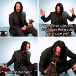 Wholesome Memes Wholesome memes, Keanu text: "You areso cute, you are! You