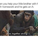 Wholesome Memes Wholesome memes,  text: When you help your little brother with his math homework and he gets an A: 4pes together strong.  Wholesome memes, 
