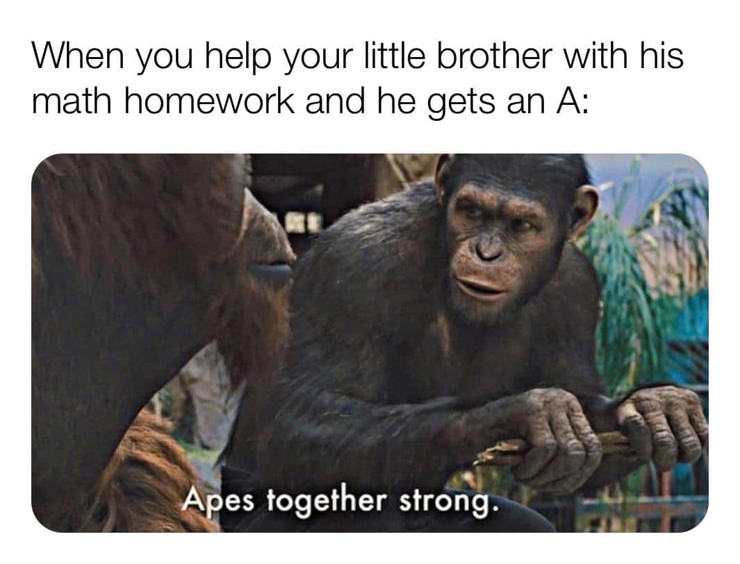 Wholesome memes,  Wholesome Memes Wholesome memes,  text: When you help your little brother with his math homework and he gets an A: 4pes together strong. 