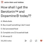 depression memes Depression,  text: calvin-klein-and-hobbes How shall I get the SerotoninTM and Dopamine@ today?? A. Masturbate B. Buy myself something I don