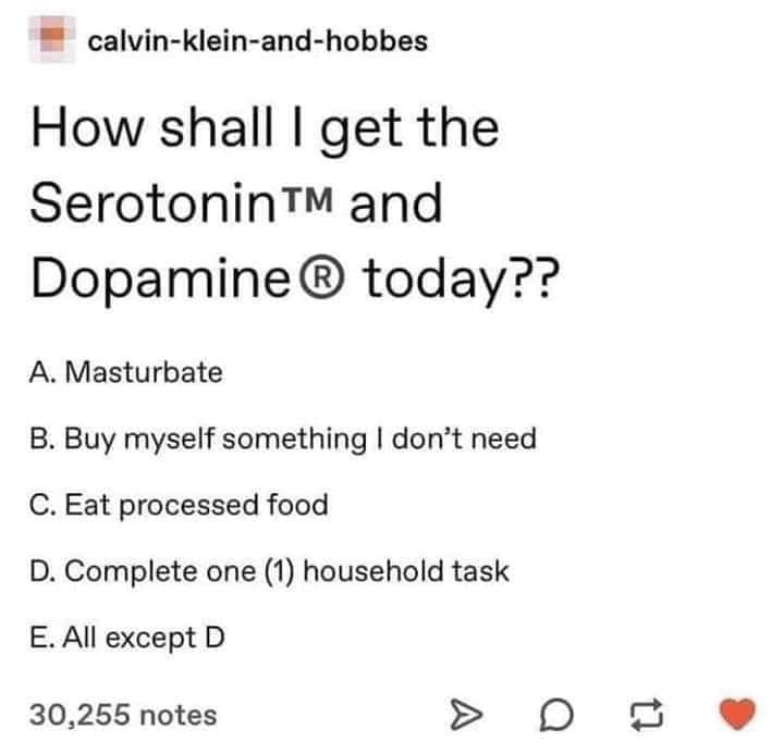 Depression,  depression memes Depression,  text: calvin-klein-and-hobbes How shall I get the SerotoninTM and Dopamine@ today?? A. Masturbate B. Buy myself something I don't need C. Eat processed food D. Complete one (1) household task E. All except D 30,255 notes 