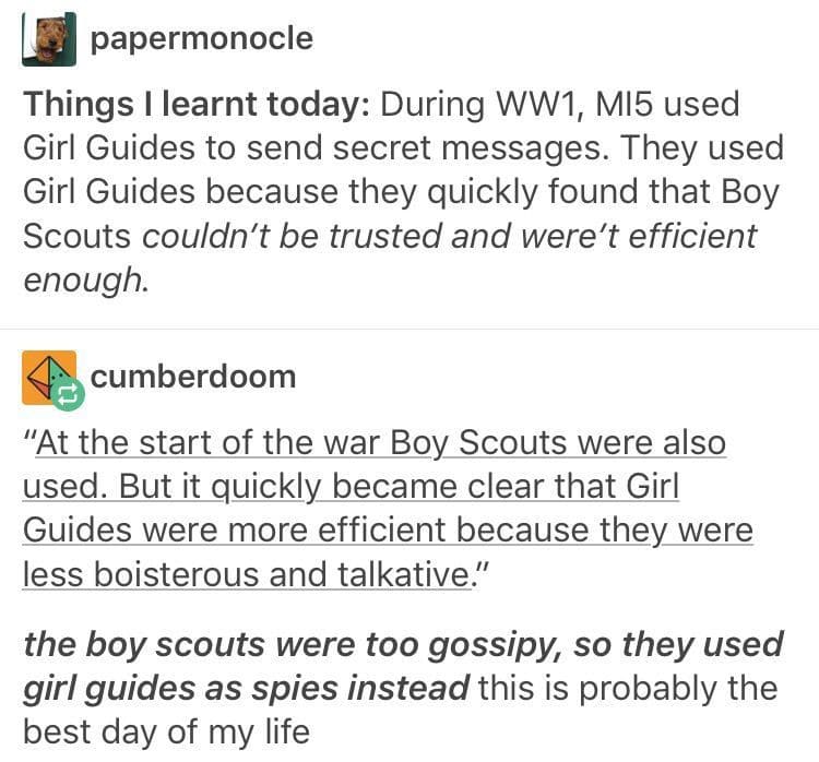 Women, Girl Guides, Boy Scouts, Girl Scout, White, Wes Anderson feminine memes Women, Girl Guides, Boy Scouts, Girl Scout, White, Wes Anderson text: papermonocle Things I learnt today: During WW1, M15 used Girl Guides to send secret messages. They used Girl Guides because they quickly found that Boy Scouts couldn't be trusted and were't efficient enough. cumberdoom 