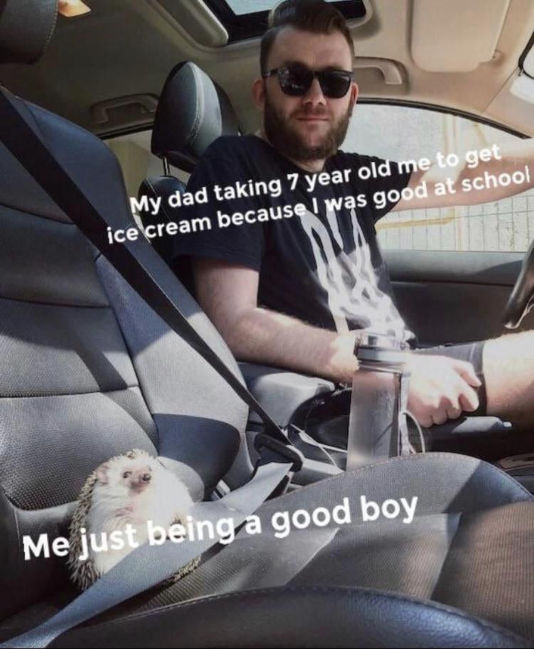Wholesome memes,  Wholesome Memes Wholesome memes,  text: toget- y dad taking 7 year 01 s go'CaVschoq ice ream becaus I good boy 