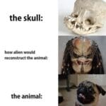 other memes Funny, Pugs, Pug, French, XqSnO, Predator text: the skull: how alien would reconstruct the animal: the animal:  Funny, Pugs, Pug, French, XqSnO, Predator