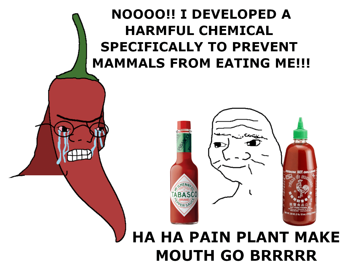 Funny, Tabasco, Thought, Hot Ones, Capsaicin other memes Funny, Tabasco, Thought, Hot Ones, Capsaicin text: NOOOO!! 1 DEVELOPED A HARMFUL CHEMICAL SPECIFICALLY TO PREVENT MAMMALS FROM EATING ME!!! NOT TABASC HA HA PAIN PLANT MAKE MOUTH GO BRRRRR 