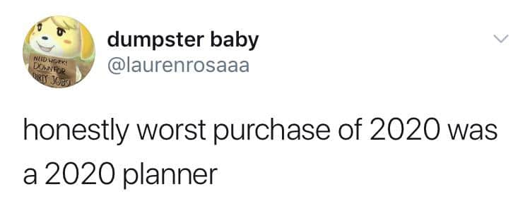 Depression,  depression memes Depression,  text: dumpster baby ren rosaaa honestly worst purchase of 2020 was a 2020 planner 