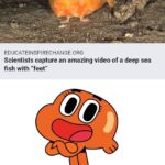 other memes Funny, Gumball, This Is Patrick, TAWOG, Look text: EDUCATE-INSPIRECHANGE.ORG Scientists capture an amazing video of a deep sea fish with "feet" 