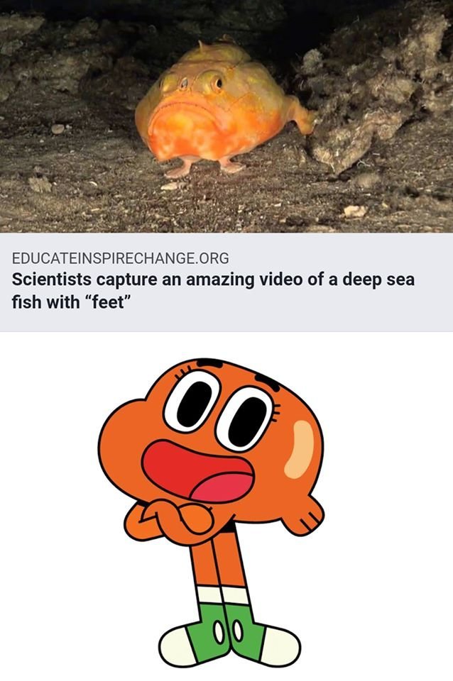Funny, Gumball, This Is Patrick, TAWOG, Look other memes Funny, Gumball, This Is Patrick, TAWOG, Look text: EDUCATE-INSPIRECHANGE.ORG Scientists capture an amazing video of a deep sea fish with 