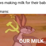 Dank Memes Dank, America, Happy text: cows making milk for their babies humans: OUR  Dank, America, Happy