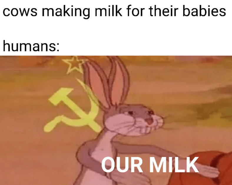Dank, America, Happy Dank Memes Dank, America, Happy text: cows making milk for their babies humans: OUR 