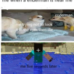 minecraft memes Minecraft,  text: me when a enderman is near me m ryiågno look e th me 