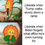 Political Memes Political, Trump, Biden text: Liberals when Trump walks slowly down a ramp Liberals when Biden forgets what office he